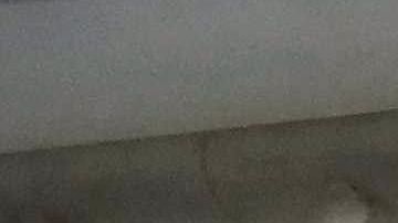 Liga Mexicana de Béisbol anuncia expansión con tres nuevos equipos para el 2024