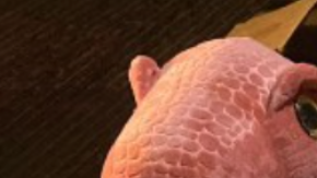 Los peluches fueron enviados por paquetería desde el Estado de México. Secretaría de Seguridad y Protección Ciudadana