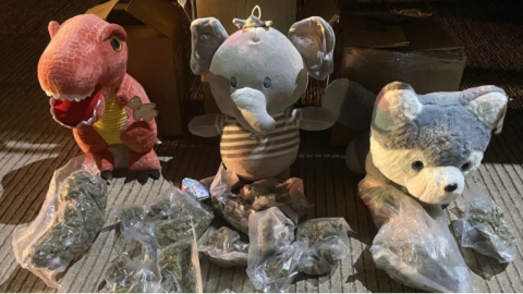 Los peluches fueron enviados por paquetería desde el Estado de México. Secretaría de Seguridad y Protección Ciudadana