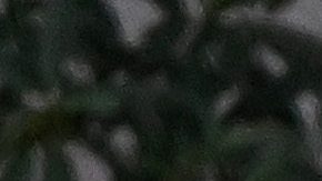 Sebastian Yatra y Aitana Ocaña.