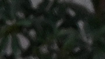 Sebastian Yatra y Aitana Ocaña.