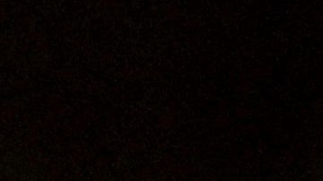 Leo Messi sorprende a todos al ser captado disfrutando del concierto de Maluma en Miami [Video]