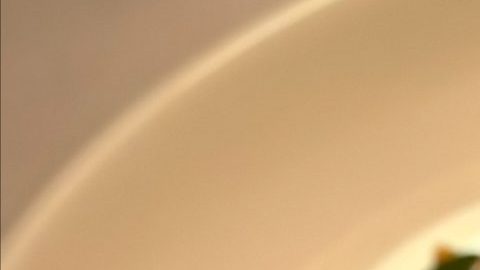 Un ingrediente lleno de beneficios alimenticios.