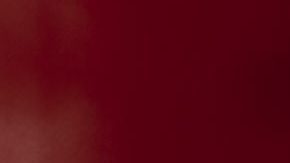 “Luego de mi primera audición me sentí inspirada a seguir intentándolo y mi familia siempre me apoyó en el camino. A la tercera vez que audicioné, lo logré”, cuenta la bailarina.