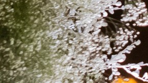 Alejandro Fernández, Vicente Fernández Jr. y Mariana González