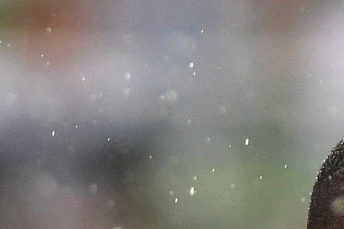 Ministerio Público de Brasil solicita que Robinho cumpla condena por violación que le impuso Italia