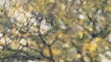 La puertorriqueña Rosa Cruz, con 80 años de edad, cree que la ciencia y los "buenos médicos de ahora" ayudarán a este objetivo.