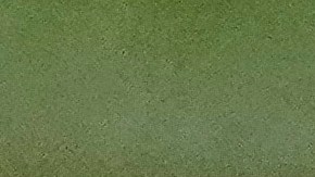 Increíble lo de Will Smith: Ha ganado la Serie Mundial los últimos tres años con distintos equipos