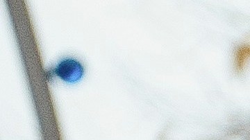 Niagara Falls (United States), 22/11/2023.- Police officers on a street corner near the Rainbow Bridge after a vehicle exploded at the Niagara Falls International Rainbow Bridge border crossing between the United States and Canada in Niagara Falls, New York, USA, 22 November 2023. At least two people have reportedly been killed in the explosion which happened earlier on Wednesday and all the bridges between the United States and Canada in the area have been closed. (Estados Unidos, Nueva York) EFE/EPA/PAT CRAY