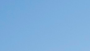 Javier Milei dejó un mensaje en la tumba del rabino Schneerson en su breve visita a Nueva York