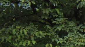 Migrantes bloquearon aduana en el sur de México para presionar por permisos de tránsito hacia EE.UU.