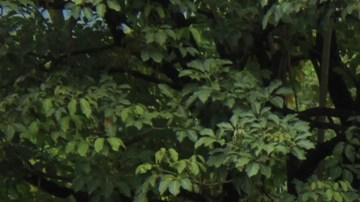 Migrantes bloquearon aduana en el sur de México para presionar por permisos de tránsito hacia EE.UU.