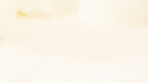 empleo-trabajo-paleadores-nieve-hielo-nueva-york