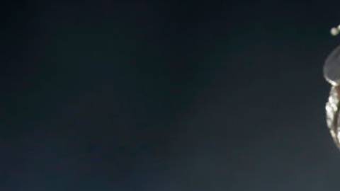 La final de la Copa Libertadores será entre Boca y Fluminense. Mira cómo verla por TV y a qué hora será.