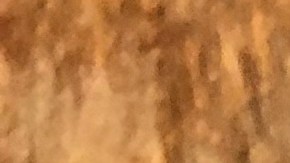 loteria-raspadito-iowa