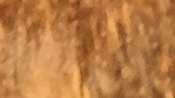 loteria-raspadito-iowa