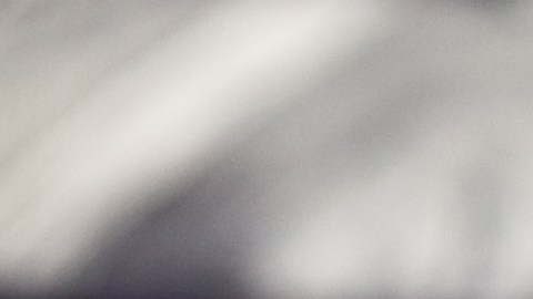 michigan-loteria-esposo-muerto