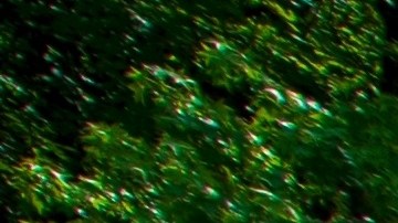 Vista de un sector del  río Buffalo.