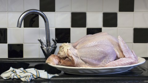 Descongelar pavo