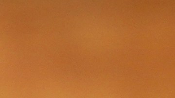 subway-pago-propina-vera-conner