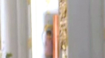 La actriz Michelle Renaud y Matías Novoa se casaron.