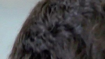 El actor Matías Novoa junto a su esposa Michelle Renaud.