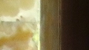 Silvia Pinal junto a su hija Alejandra Guzmán.