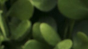 Clarissa Molina tiene deseos de seguir actuando en el año 2024.