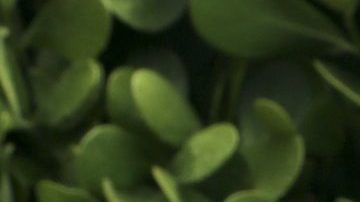 Clarissa Molina tiene deseos de seguir actuando en el año 2024.