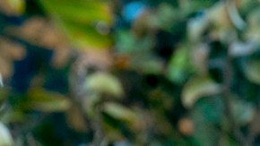 Karol G en el personaje de Carla junto al actor Christian Tappan como Arturo.