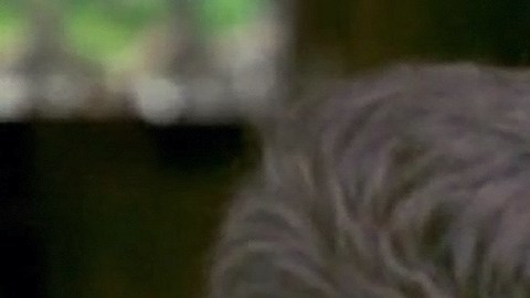 Fernando Colunga actuando en El Maleficio.