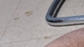 Milagrosamente sobrevivió al ataque.