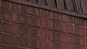 Agentes de Seguridad Escolar de NYPD