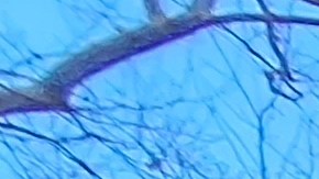 Este miércoles se anunció la creación de plataforma 'Reforma para los Vendedores Ambulantes'