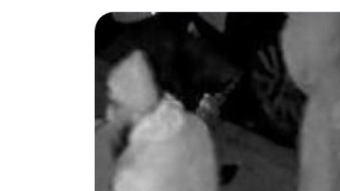 Sospechosos de abuso sexual en hogar de NYC.