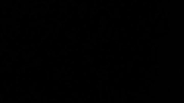 Adams no tiene la mínima expectativa que la Gran Manzana reciba más fondos federales como lo han solicitado por 18 meses.