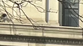 La senadora federal por Nueva York Kirsten Gillibrand, presentó un reporte sobre el impacto de la ley federal contra tráfico de armas.