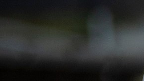 Tiroteo en Lewiston, Maine