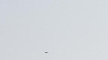 La CBP había cerrado los dos cruces para llevar a todo su personal para colaborar con el procesamiento de los inmigrantes.