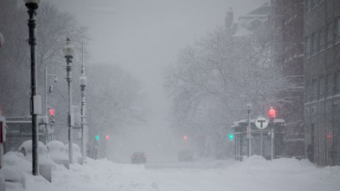 Nieve