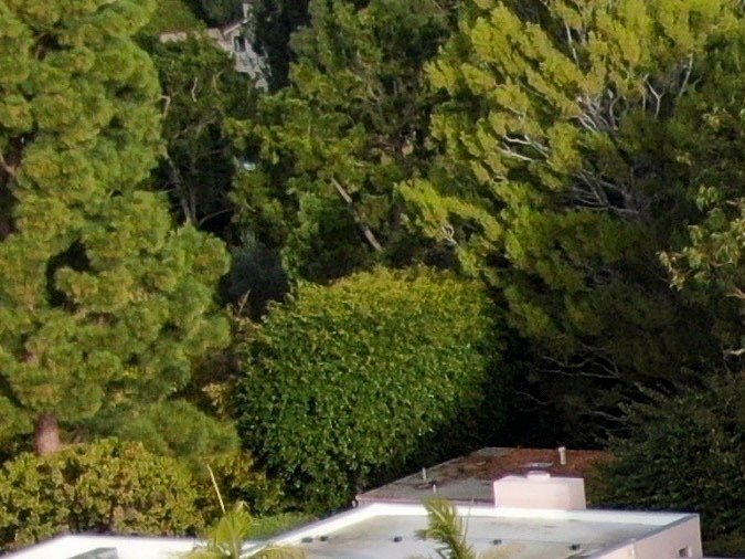 Se dice que los ladrones entraron a la propiedad rompiendo una de las ventanas.