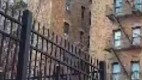 El Departamento de Bomberos compartió un video del operativo en El Bronx.