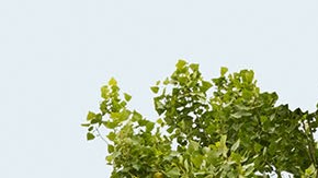 Compra de vivienda latinos hispanos_Native 300x250 widget