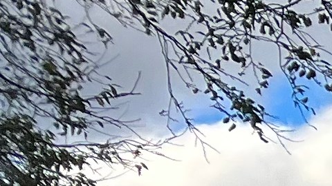 Willets Point levantará el primer estadio de fútbol de la Gran Manzana