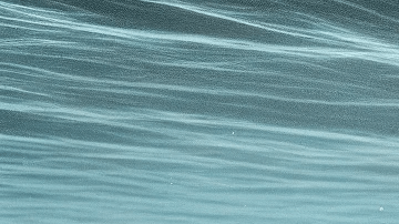 Ilustración de las botellas bajo el agua.