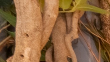 Giorgina se encuentra ubicado en el corazón de Wynwood.