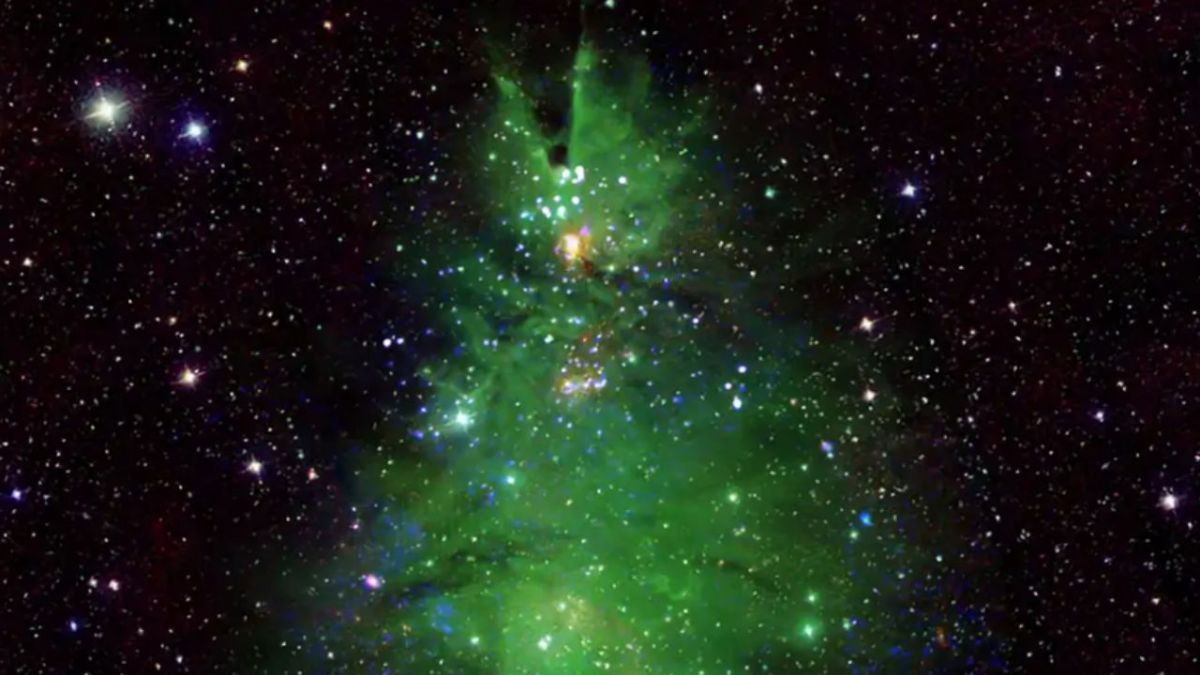 La nasa comparte la imagen de un rbol de navidad c smico el diario ny