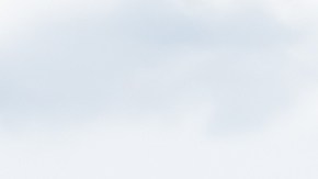 Family Dollar/Dollar Tree