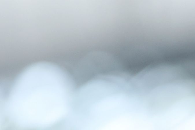 Céline Dion posando en un evento.