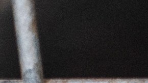 Los dos perros se encuentran actualmente bajo custodia de los Servicios para Animales del Condado de Multnomah.